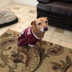 Meet your Posher, Lilia